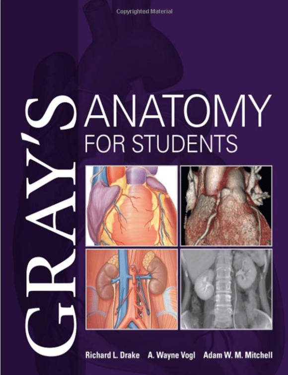 10 of the Best Books For Anatomy Sutured